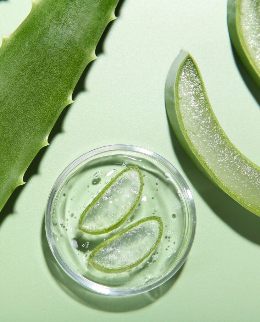 Aloe Vera